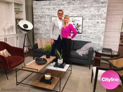 Old Brick Wall Mural Black and White is featured on Cityline with Brian Gluckstein and Adrienne Scanlan of AboutMurals.ca