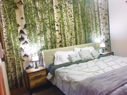 A birch tree wallpaper in a bedroom from AboutMurals.ca.