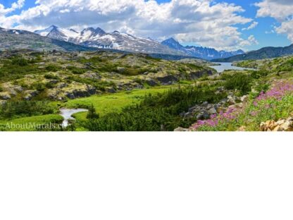 Alaskan Mountains Wallpaper features towering mountains overlooking a rugged landscape of pine trees and forest. Mountain wallpaper sold by AboutMurals.ca.