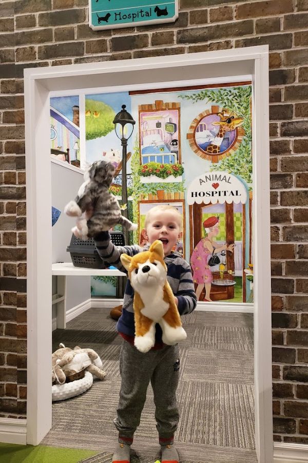 Animal Hospital Wall Mural, as seen in this soft play business, is a cute vet wallpaper with a woman taking her bird to a veterinary clinic run by animals and people from About Murals.
