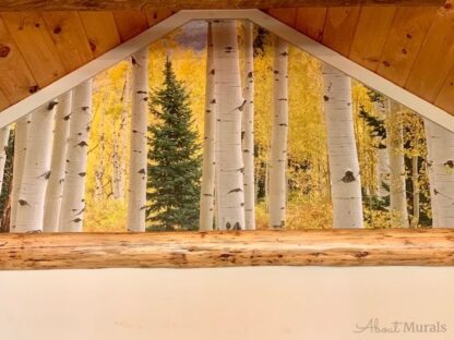 Aspen Forest Wallpaper, as seen in this alcove, features white aspen trees against yellow autumn foliage. Autumn forest wallpaper sold by AboutMurals.ca.