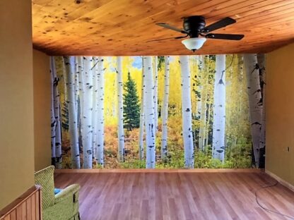 Aspen Forest Wallpaper, as seen on this cottage wall, features white aspen trees against yellow fall foliage. Autumn forest wallpaper sold by AboutMurals.ca.