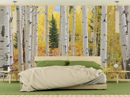 Aspen Forest Wallpaper, as seen on the wall of this bedroom, is a wall mural that features beautiful white aspen trees against a yellow fall foliage from About Murals.