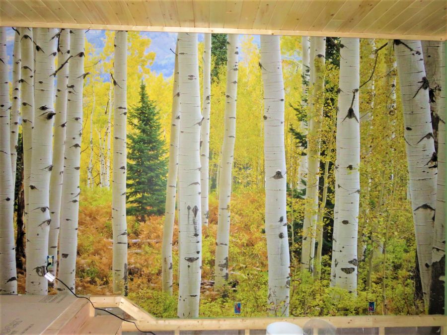 Image #1 from Bill & Judy Curtis