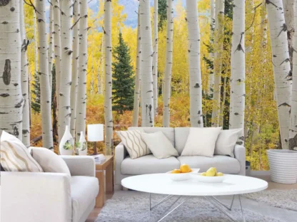 Aspen Forest Wallpaper, as seen on the wall of this living room, features one pine tree under tall white aspen trees in a yellow autumn forest from About Murals.