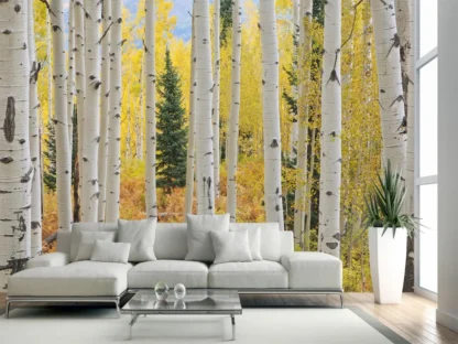 Aspen Forest Wallpaper, as seen on the wall of this modern living room, is a wallpaper mural with white aspen trees with quaking leaves in a yellow autumn forest from About Murals.