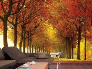 Autumn Colors Wall Mural, as seen in this living room, is a photo wallpaper of a red and yellow tree lined path from About Murals.