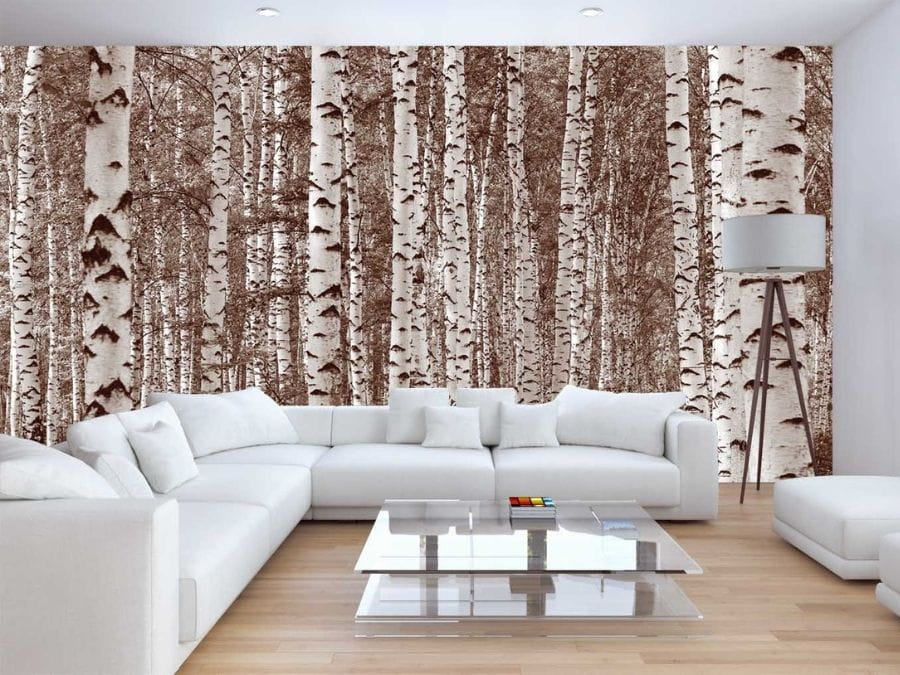 Birch Tree Forest Sepia Wall Mural | About Murals