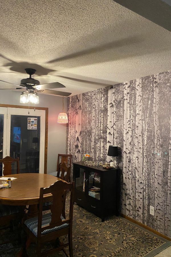 Black and White Birch Tree Wallpaper, as seen on the wall of this antique shop, is a photo mural of vintage trees in a grey forest from About Murals.