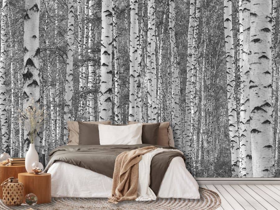 Black and White Birch Tree Wallpaper, as seen on the wall of this bedroom, is a photo mural of modern trees in a grey forest from About Murals.