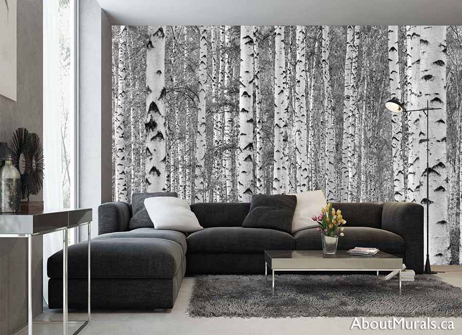 Black and White Birch Tree Wallpaper, as seen on the wall of this black living room, is a photo mural of tall tranquil trees in a grey forest from About Murals.