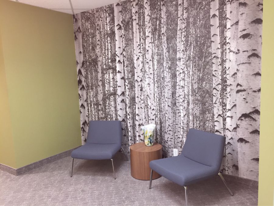 Black and White Birch Tree Wallpaper Canada, as seen on the wall of Jamieson Vitamins’ reception area in Toronto, is a photo mural of tall trees in a grey forest from About Murals.