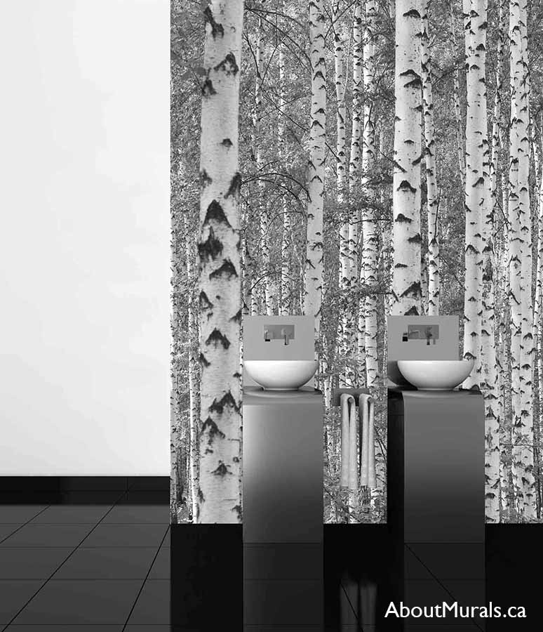 Black and White Birch Tree Wallpaper, as seen on the wall of this restroom, is a photo wall mural of gray trees in the woods from About Murals.