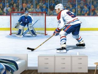 Breakaway Wall Mural in a Bedroom. Hockey Wallpaper from About Murals.