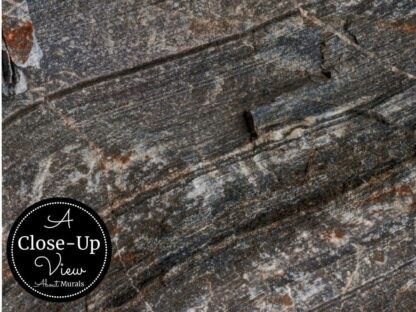 Canadian Shield Swirl Wall Mural - Image 3