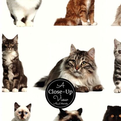 A close-up view of cats in a pet wallpaper from About Murals.