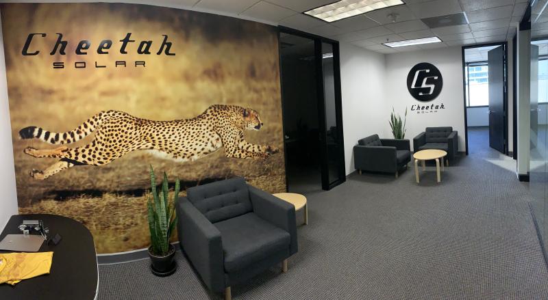 Cheetah Running Wall Mural - Cheetah Solar 3