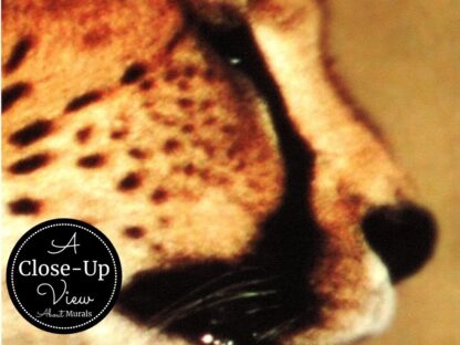 A close-up view of a cat's face in a cheetah wallpaper from About Murals.