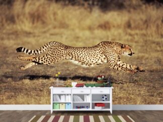 Cheetah Wallpaper, as seen on the wall of this kids room, features a cheetah running through the dry African Serengeti from About Murals.