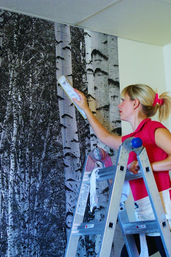 Easy Black and White Birch Tree Wallpaper, as seen on the wall of this room, is a photo mural of tall black and white trees in a forest from About Murals.
