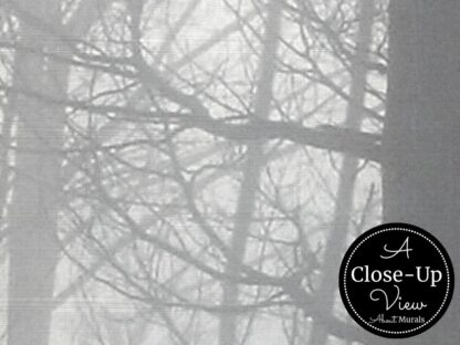 A close up view of black and white branches in a Fir Forest Wallpaper from About Murals.