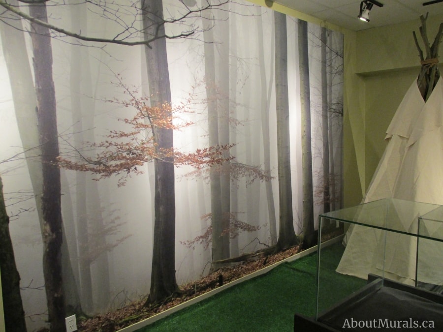 Morning fog wall mural is a forest themed wallpaper pictured here in Grande Prairie Museum's exhibit. Sold by AboutMurals.ca