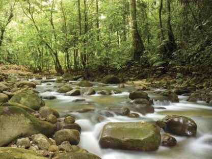 Mountain Stream Wall Mural - Image 2