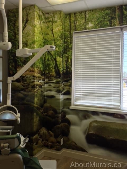Mountain Stream Wall Mural, as seen on the wall of this dental clinic, features a river gushing over rocks in a green forest. Forest wallpaper sold by AboutMurals.ca.
