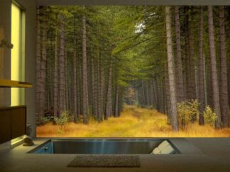 Pines Wallpaper, as seen on this bathroom wall, features tall trees in a forest from About Murals.