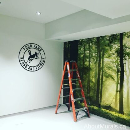 Play of Lights wall mural is a green forest wallpaper, seen in this animal rehabilitation clinic in Toronto, ON. Sold by AboutMurals.ca.