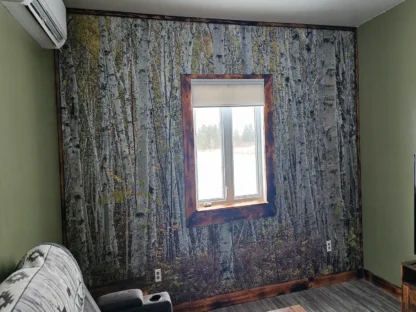 White Birch Wallpaper, as seen on the wall of this cottage living room, is a high resolution photo mural of tall trees in a natural forest from About Murals.