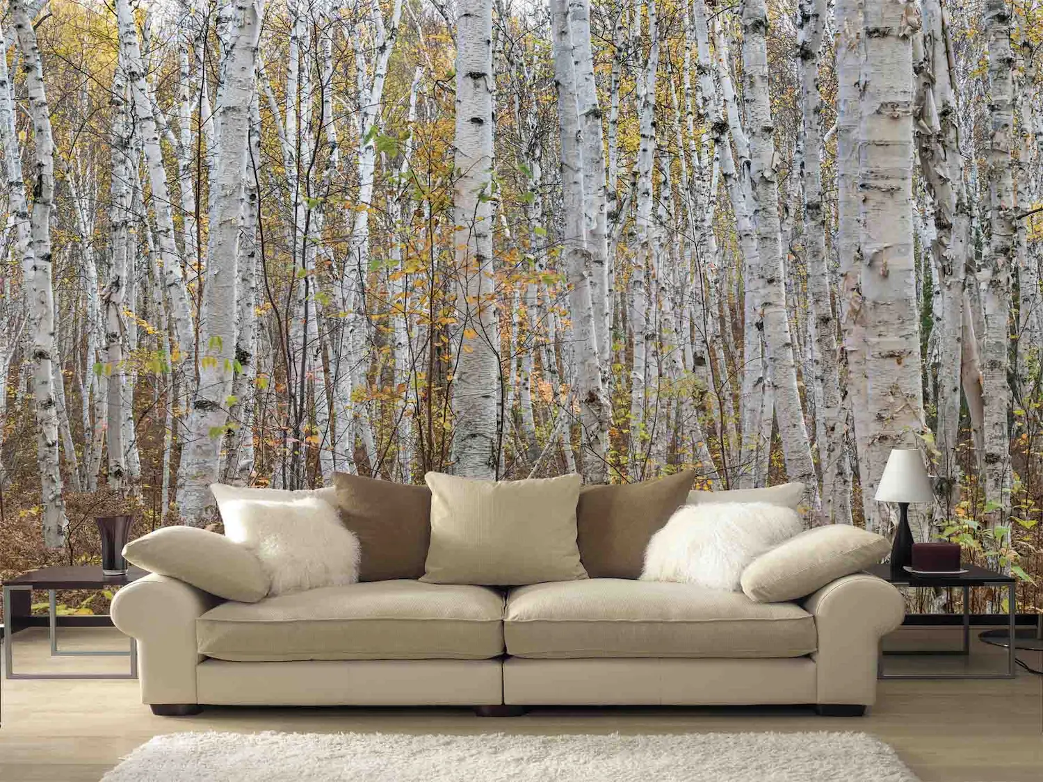 White Birch Wallpaper, as seen on the wall of this living room, is a photo mural with white trees in a yellow autumn forest from About Murals.