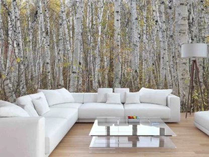 White Birch Wallpaper, as seen on the wall of this modern living room, is a wallpaper mural featuring natural looking trees in a birch forest from About Murals.