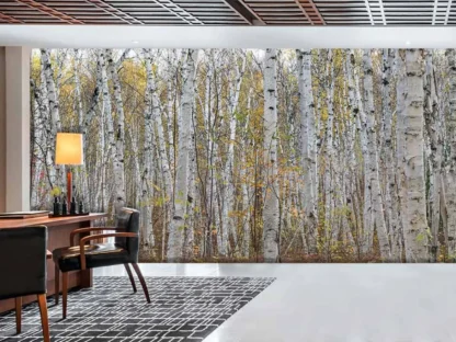 White Birch Wallpaper, as seen on the wall of an office, is a photo wall mural of autumn trees full of texture from About Murals.