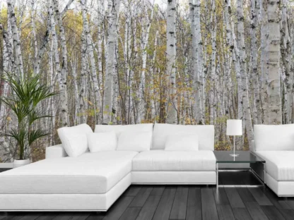 White Birch Wallppaer, as seen on the wall of this white living room, is a high resolution photo mural of white birch trees in a fall forest from About Murals.