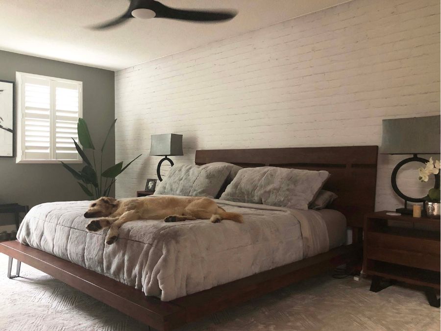 White Brick Wall Mural, as seen in this modern bedroom, is a high resolution photo wallpaper of painted bricks with texture from About Murals.