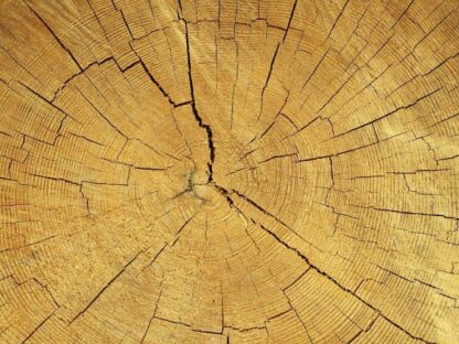 Wood Slab Wallpaper - Image 2