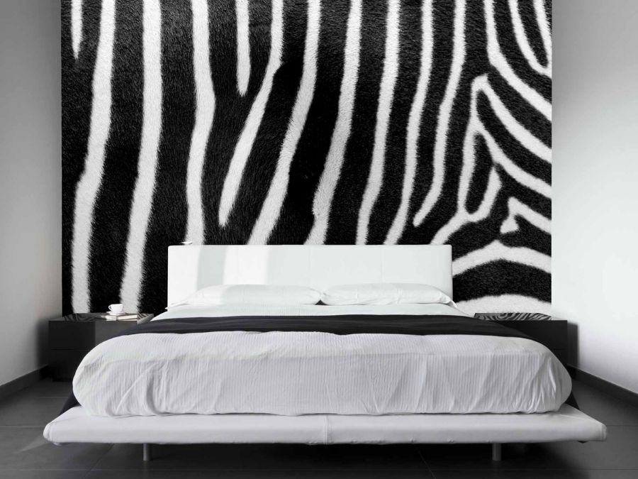 Zebra Print Wallpaper | About Murals