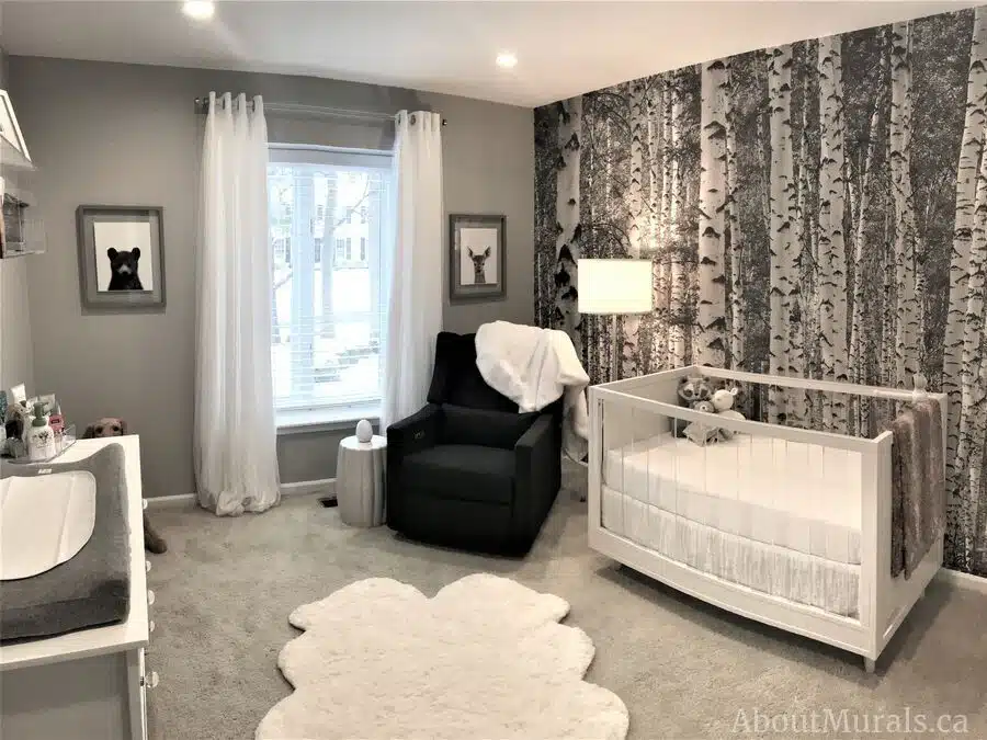 Birch Tree Wallpaper, as seen on this nursery wall, is a photo mural with tall black and white birch trees in forest. Birch wallpaper from AboutMurals.ca.