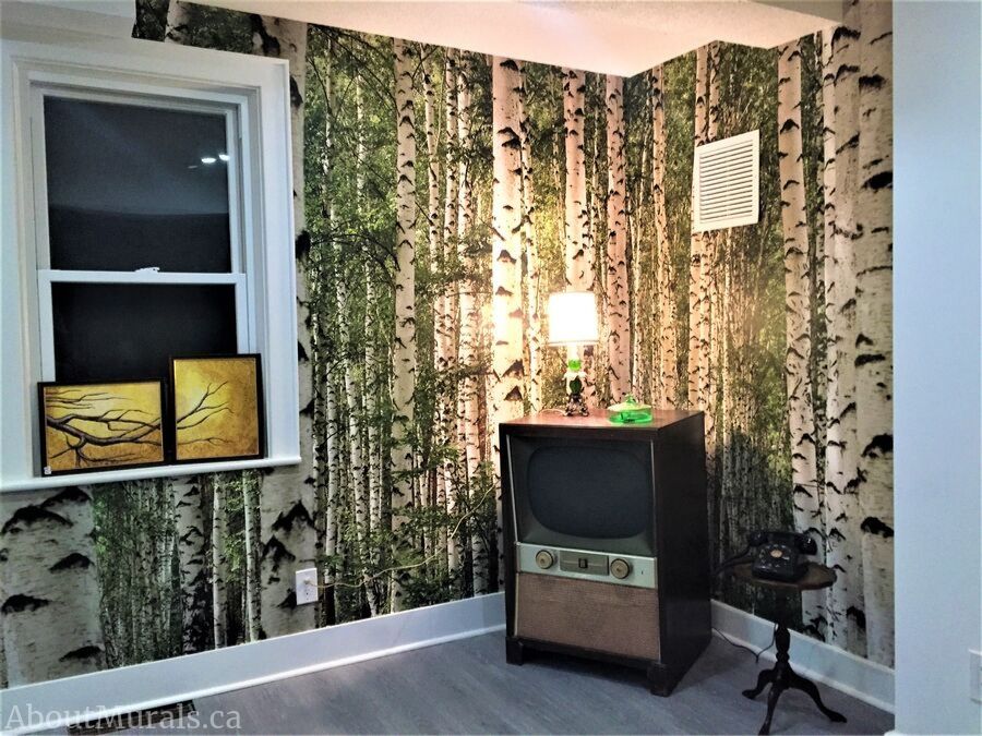 Birch Wallpaper, as seen on the wall of Pete & Kay Restaurant in Hamilton, Ontario, creates a vintage look behind an antique TV. Forest wallpaper sold by AboutMurals.ca.