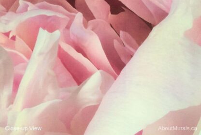 A closeup view of Peony Wallpaper featuring pink petals. Flower wallpaper sold by AboutMurals.ca.