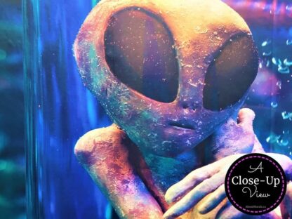 Extraterrestrial Wallpaper - Image 4