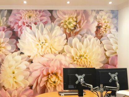 Pink Flower Wallpaper, as seen on the wall of this office, is a high resolution photo mural of large pink and white dahlia flowers full of texture from About Murals.