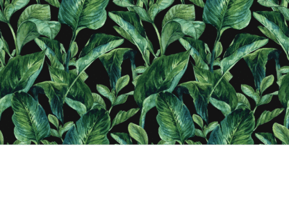 Dark Tropical Wallpaper is a modern wall mural with large green tropical leaves on a black background from About Murals.