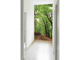 Forest Path Wallpaper in a Hallway from About Murals