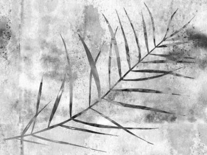 Grey Palm Leaf Wallpaper features a large palm leaf on a concrete background from About Murals.