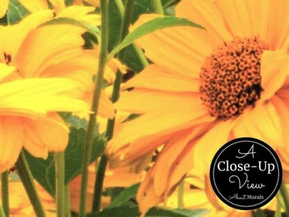 Black Eyed Susan Wallpaper - Image 3