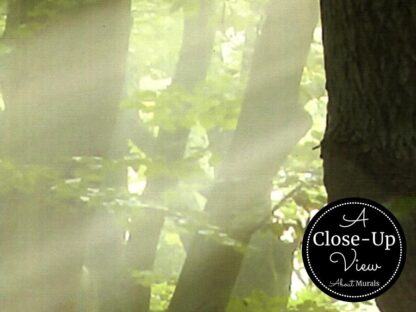 Calming Forest Wallpaper - Image 3