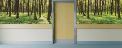 Forest Landscape Wallpaper, as seen on this care home hallway wall, is a photo mural with green trees in a peaceful forest that is available in a short size perfect to hang above a handrail from About Murals.