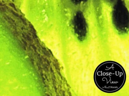 Kiwi Wallpaper - Image 3